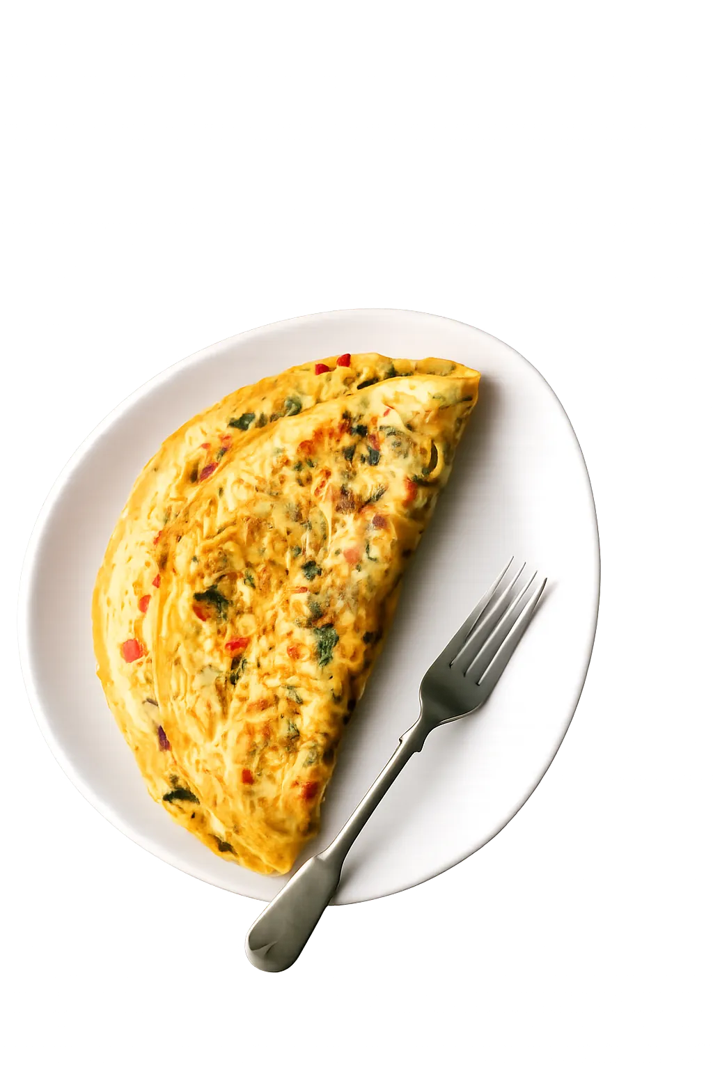 Egg Omelette